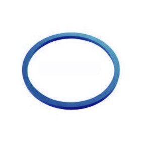 Gasket for DENEB and ALTAIR autoclaves