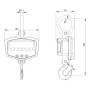 CS Dynamometer with LED Display