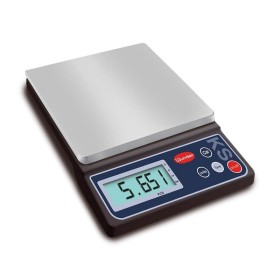 Compact scale with ABS construction