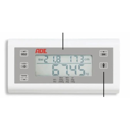 Professional digital short column personal scale with bmi class iii function