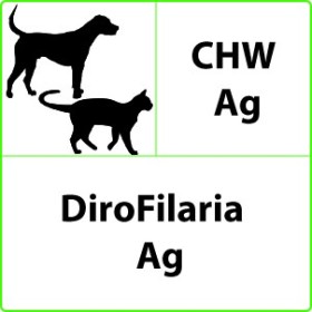 CHW Ag Dirofilaria Prueba Rápida Veterinaria - 10 Pruebas