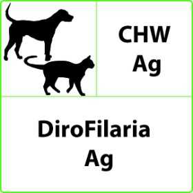 Veterinární rychlý test CHW Ag Dirofilaria - 10 testů