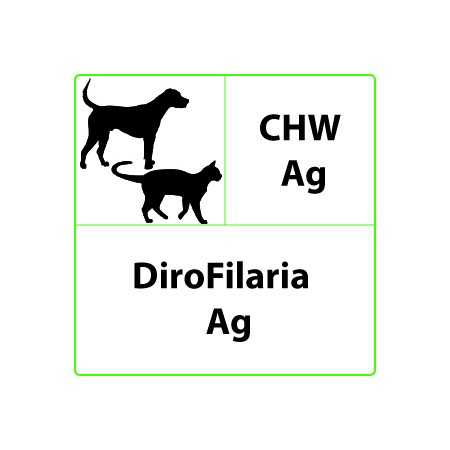 Test rapido veterinario CHW Ag Dirofilaria - 10 test