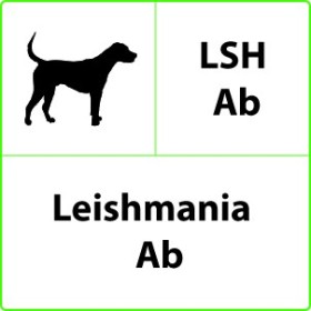 Test rapide vétérinaire LSH Ab Leishmania - 10 tests