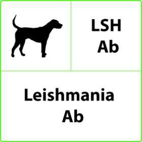 Test rapide vétérinaire LSH Ab Leishmania - 10 tests