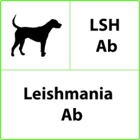 Test rapido veterinario lsh ab leishmania - 10 test