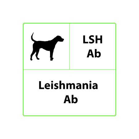 Veterinární rychlotest LSH Ab Leishmania - 10 testů