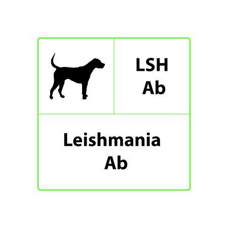 Prueba rápida veterinaria LSH Ab Leishmania - 10 pruebas