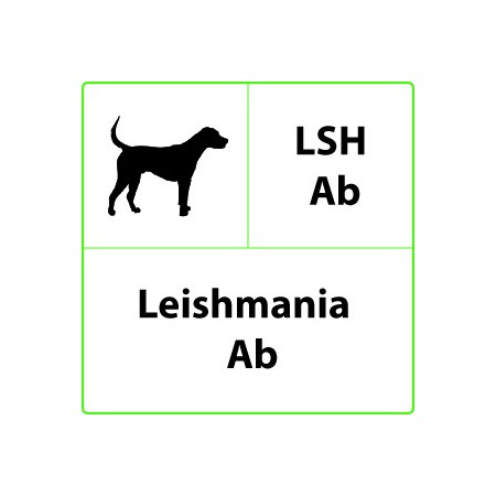 Test rapido veterinario lsh ab leishmania - 10 test