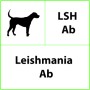 LSH Ab Leishmania állatorvosi gyorsteszt - 10 tesztek