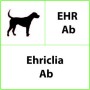 Ehr ab ehrlichia veterinaire sneltest - 10 tests