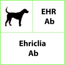 EHR Ab Ehrlichia Veterinaire Sneltest - 10 tests