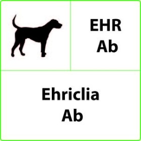 Test rapido veterinario ehr ab ehrlichia - 10 test
