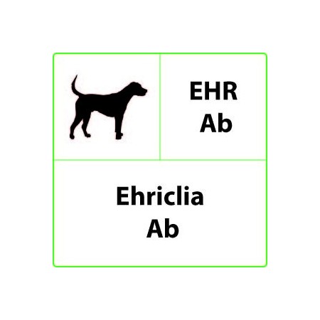 Test rapido veterinario ehr ab ehrlichia - 10 test
