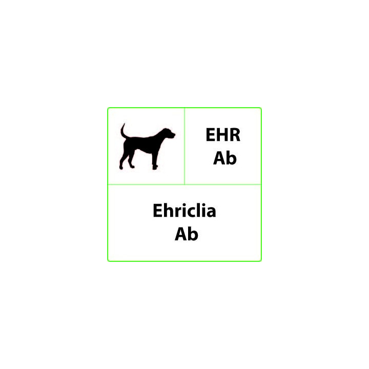 Veterinární rychlý test EHR Ab Ehrlichia - 10 testů