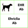 Test rapido veterinario EHR Ab Ehrlichia - 10 test