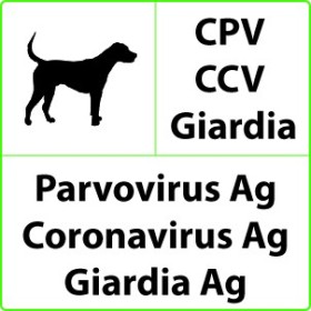 Cpv+ccv+giardia prueba rápida veterinaria para parvovirus, coronavirus, giardia - 10 pruebas