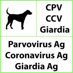 Szybki test weterynaryjny CPV+CCV+Giardia na parwowirus, koronawirus, giardia - 10 testów