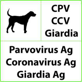 Test rapido veterinario CPV+CCV+Giardia per Parvovirus, Coronavirus, Giardia - 10 test