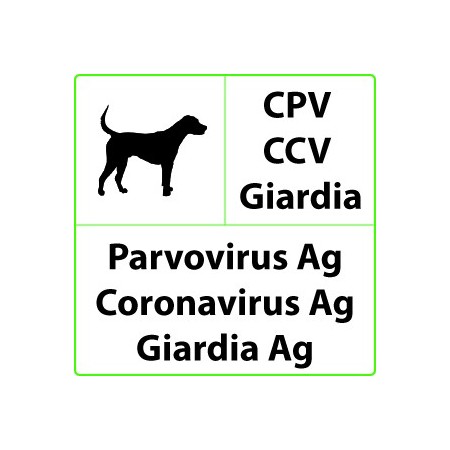 Cpv+ccv+giardia veterinär-schnelltest für parvovirose, coronavirus, giardia - 10 tests