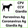 CPV + CCV + Giardia állatorvosi gyorsteszt parvovírusra, koronavírusra, Giardia-ra - 10 teszt