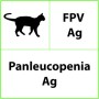 Fpv ag panleukopenie veterinaire sneltest - 10 tests