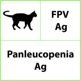 Állatorvosi gyorsteszt FPV Ag Panleukopenia - 10 tesztek