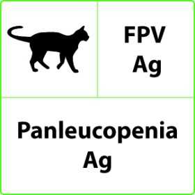 Prueba rápida veterinaria de panleucopenia FPV Ag - 10 pruebas