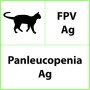 FPV Ag Panleukopenia Veterinární rychlotest - 10 testů