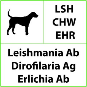 Szybki test weterynaryjny lsh+chw+ehr na leishmania, dirofilaria i ehrlichia - 10 testów