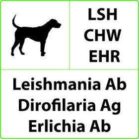 Szybki test weterynaryjny LSH+CHW+EHR na Leishmania, Dirofilaria i Ehrlichia - 10 testów