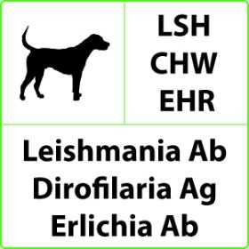Test rapide vétérinaire LSH+CHW+EHR pour Leishmania, Dirofilaria et Ehrlichia - 10 tests