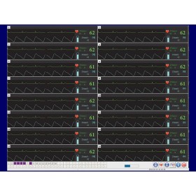 Logiciel de la station centrale