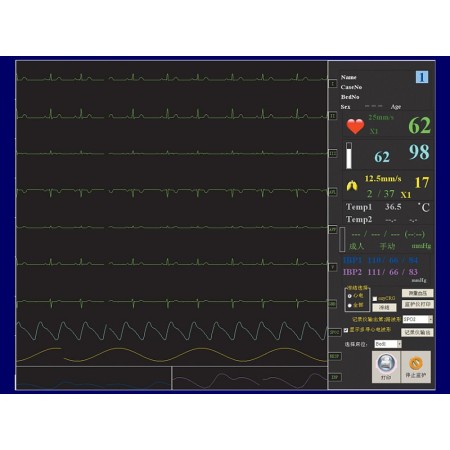 Softwarová centrální stanice
