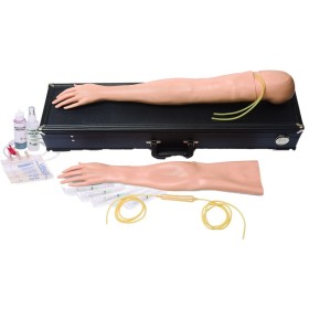 Kit de brazo de entrenamiento intravenoso multivenoso para mujer