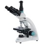 Levenhuk 500t trinocular microscope