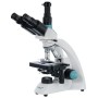 Microscopio trinocular Levenhuk 500T