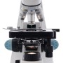 Microscopio trinocular Levenhuk 500T