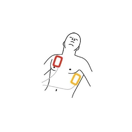 Par de placas de electrodos physio control cr2