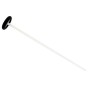 Neurologiske hammerdronninger