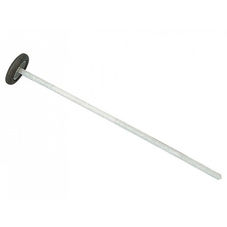 Neurologické kladívkové královny