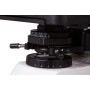 Microscopio trinocular digital Levenhuk MED D30T