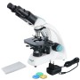 Microscopio binoculare levenhuk 400b