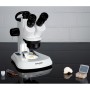 Microscopio stereo trinoculare Bresser Analyth STR Trino 10x - 40x
