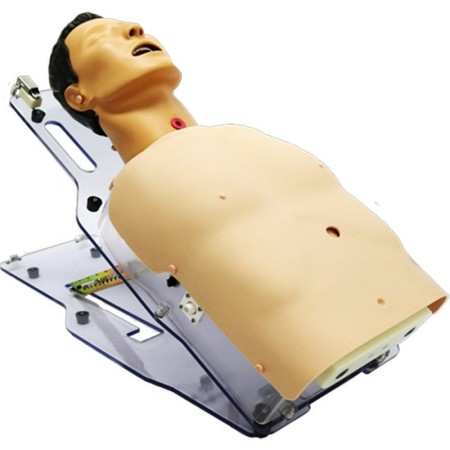 Simulatore medico gestione alimentazione assistita, peg, sondino nasogastrico e tracheotomia