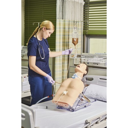 Medical simulator for assisted feeding management, peg, nasogastric tube and tracheostomy