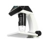 DTX 500 LCD Levenhuk digitale microscoop