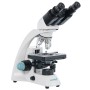 Microscopio binocular Levenhuk 500B