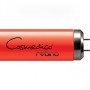 Tube pour cosmedico cosmofit+ rubino lampe de bronzage 15w - 1 tube