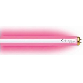 Tubes de collagène 15w - 12 tubes de remplacement pour boîte lumineuse de collagène